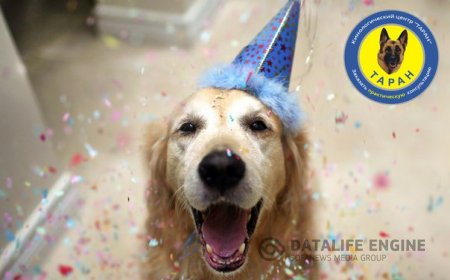 4 мая - День собачьего счастья!!!